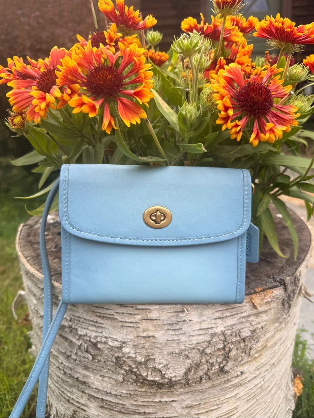 Coach Limited Edition Swing Wallet